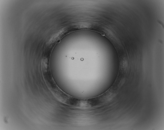 X0000103490264200809191929