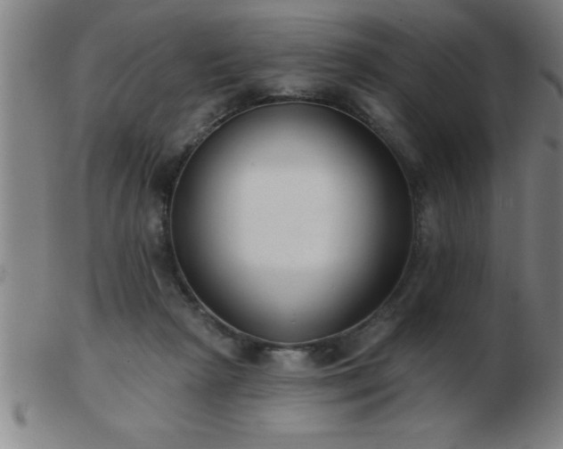 X0000103490265200809191929