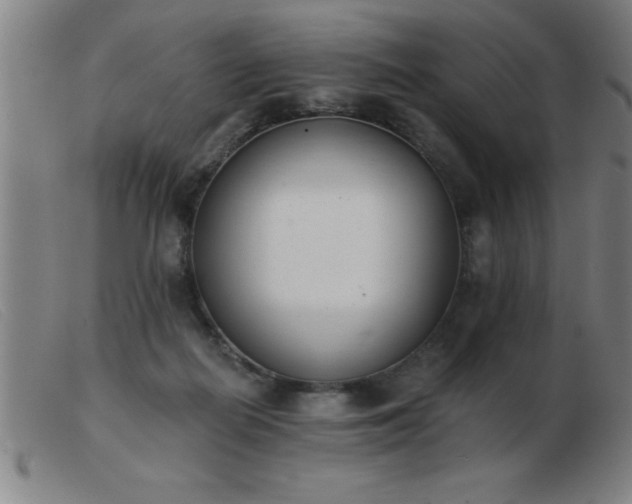 X0000103490266200809191929