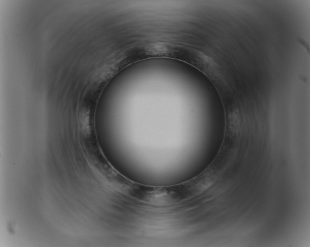 X0000103490267200809191929