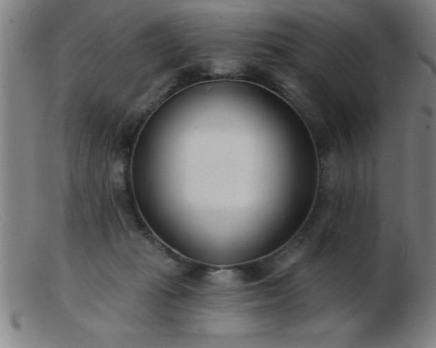 X0000103490269200809191929