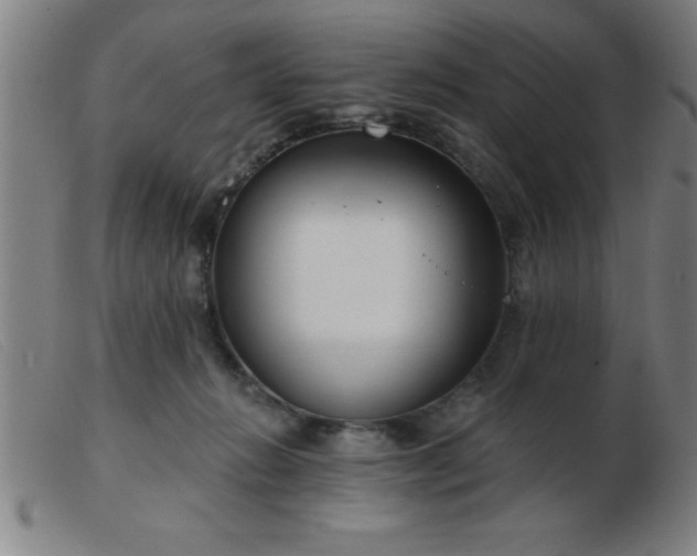 X0000103490270200809191929