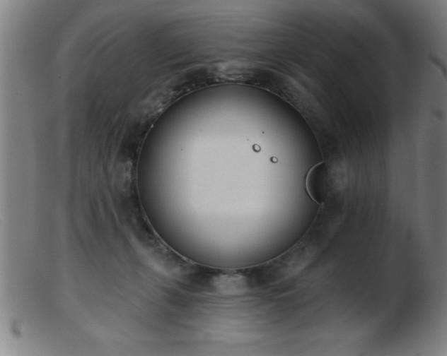 X0000103490271200809191929