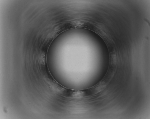 X0000103490274200809191929