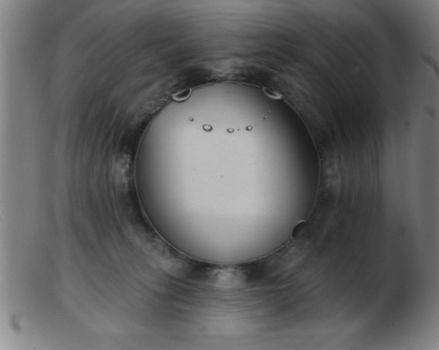 X0000103490275200809191929