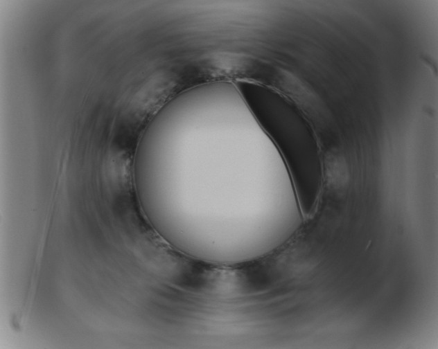 X0000103490276200809191929