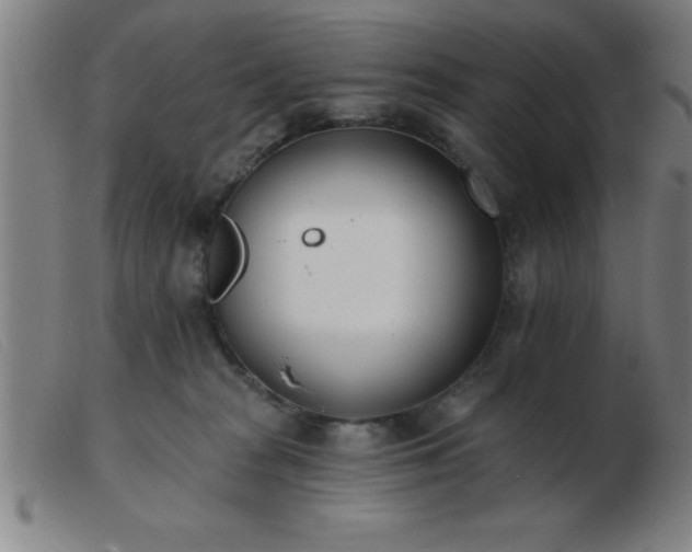 X0000103490277200809191929