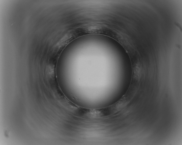 X0000103490278200809191929