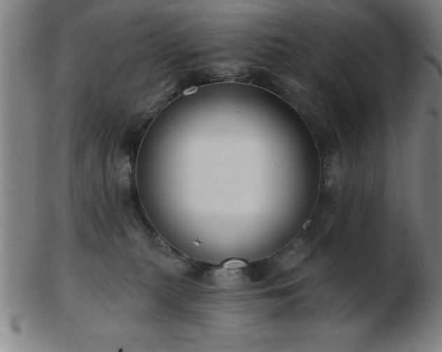 X0000103490279200809191929