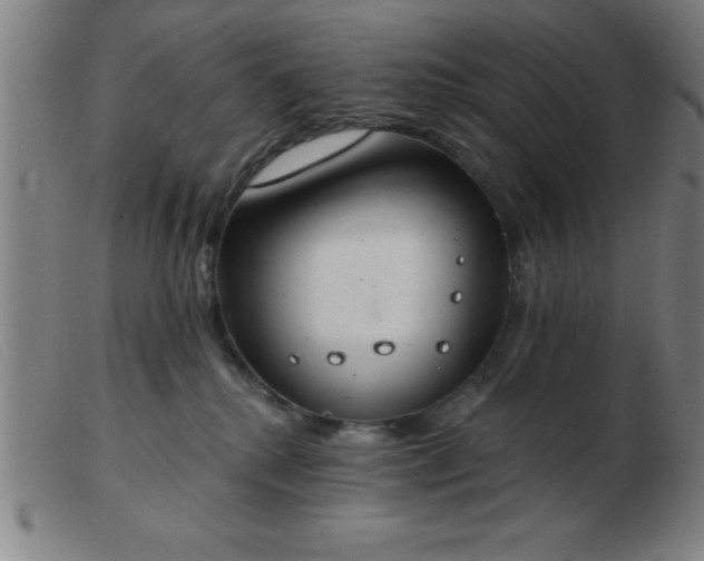 X0000103490280200809191929