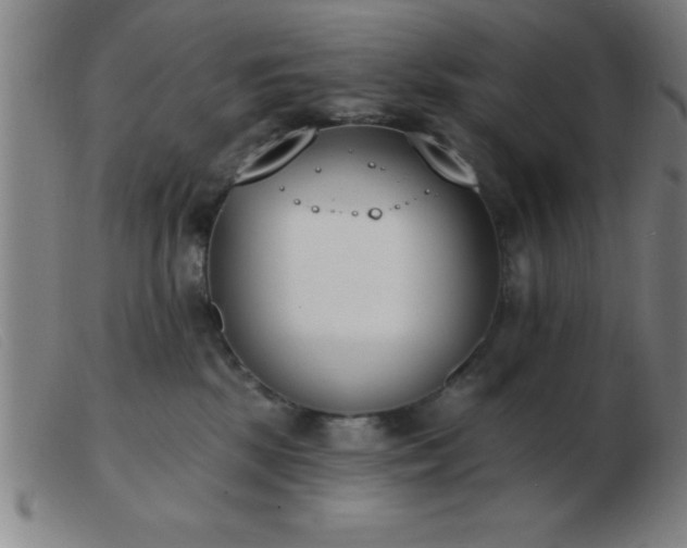 X0000103490281200809191929