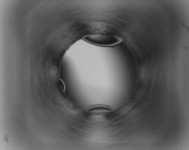 X0000103490283200809191929