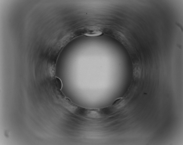 X0000103490285200809191929