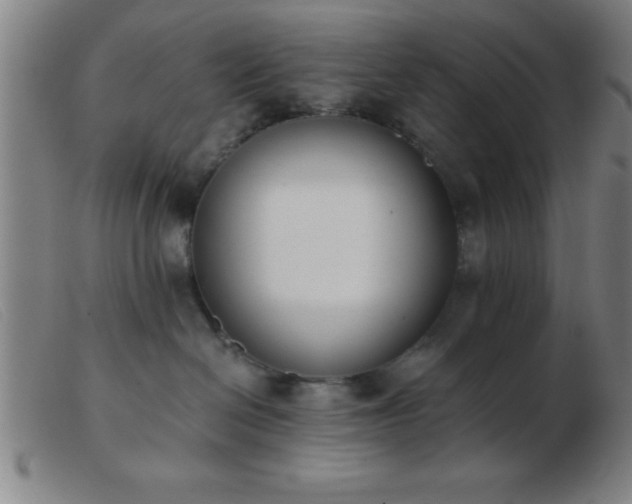 X0000103490286200809191929