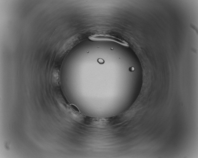 X0000103490288200809191929