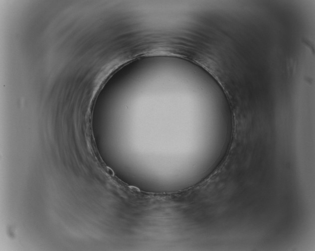 X0000103490289200809191929