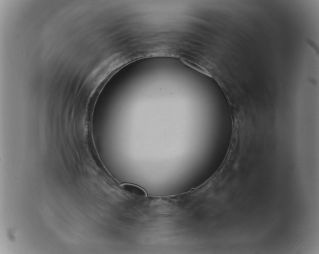 X0000103490290200809191929