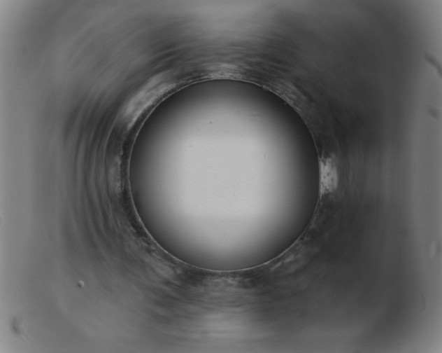 X0000103490291200809191929