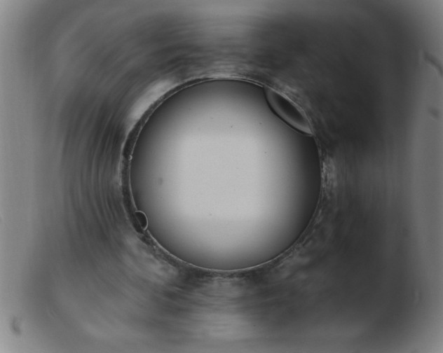 X0000103490292200809191929