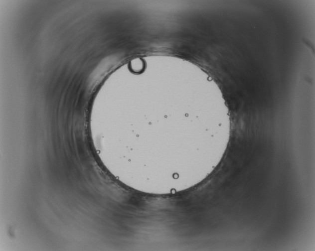 X0000103490293200809191929