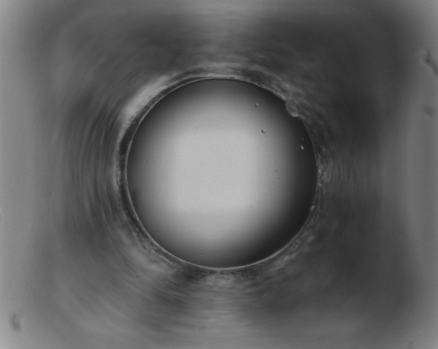 X0000103490294200809191929