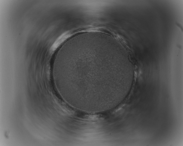 X0000103490295200809191929