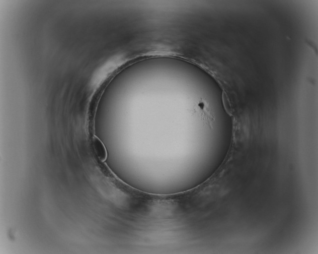 X0000103490296200809191929