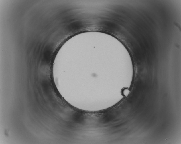 X0000103490297200809191929