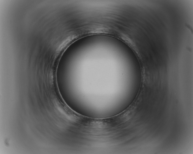 X0000103490298200809191928