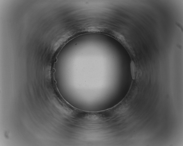 X0000103490299200809191928