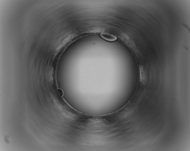 X0000103490300200809191928