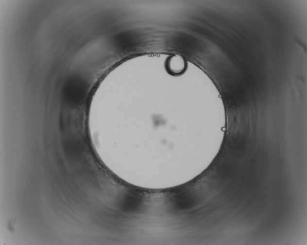 X0000103490301200809191928