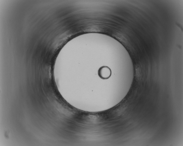 X0000103490302200809191928