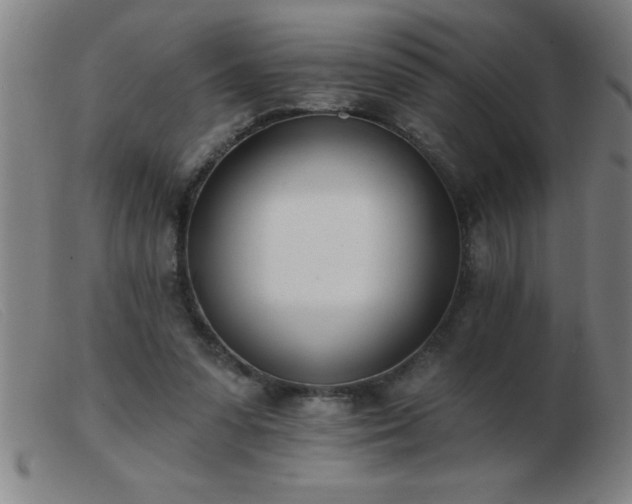 X0000103490303200809191928