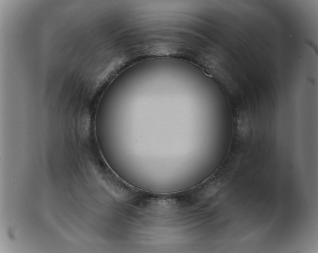 X0000103490304200809191928