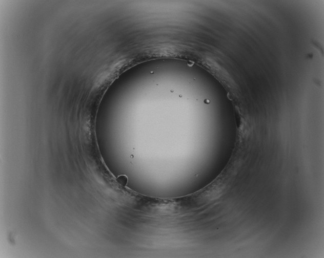 X0000103490306200809191928