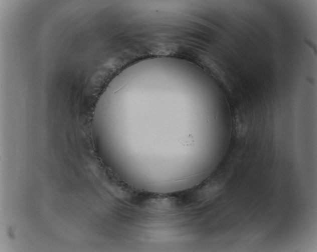 X0000103490307200809191928