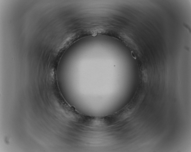 X0000103490308200809191928