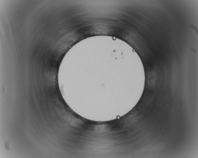 X0000103490309200809191928