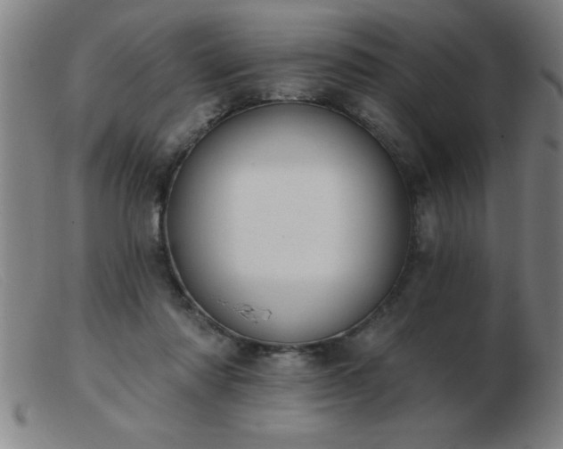 X0000103490310200809191928