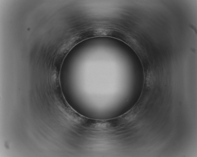 X0000103490314200809191928