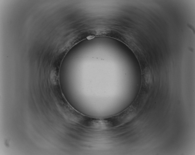 X0000103490316200809191928