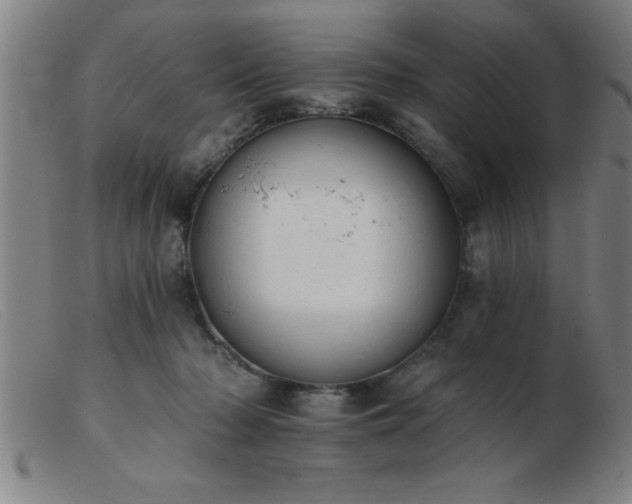 X0000103490318200809191928