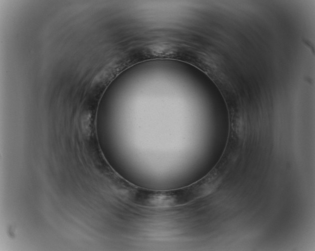 X0000103490319200809191928