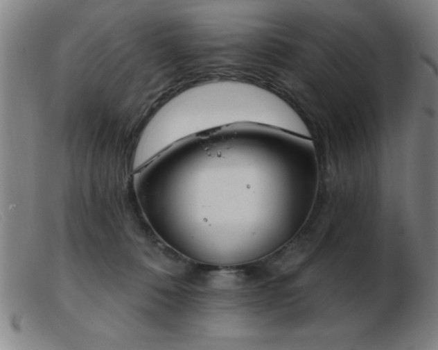 X0000103490320200809191928