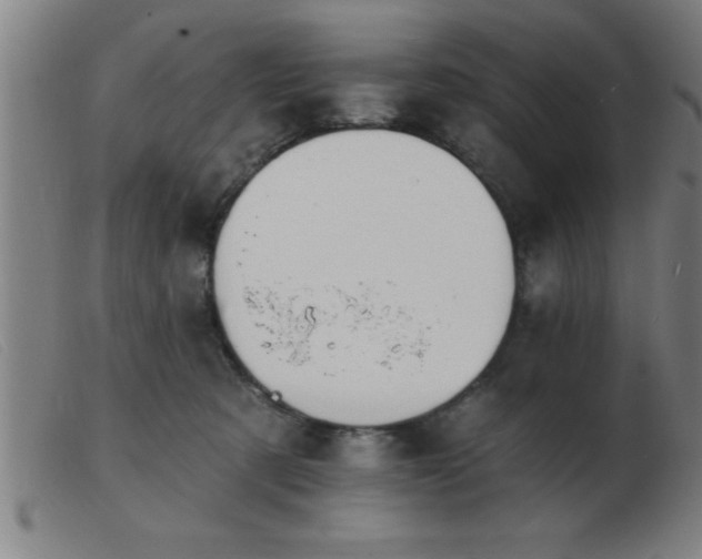 X0000103490321200809191928