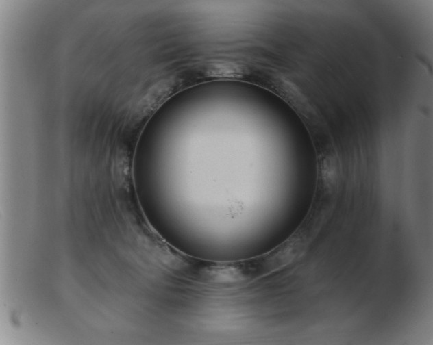 X0000103490322200809191928