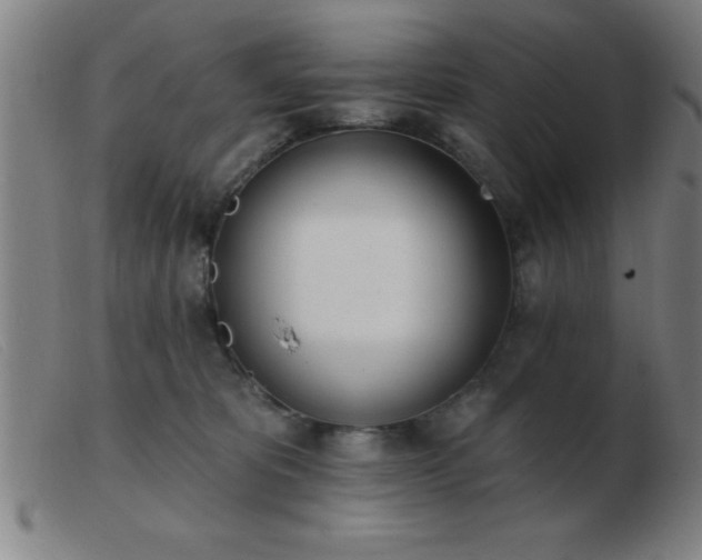 X0000103490325200809191928