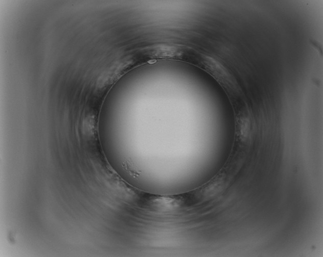 X0000103490326200809191928