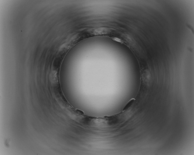 X0000103490327200809191928